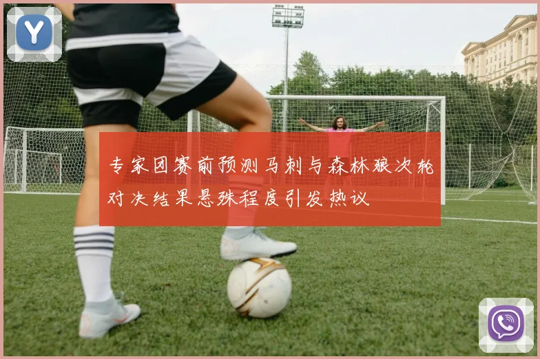 专家团赛前预测马刺与森林狼次轮对决结果悬殊程度引发热议