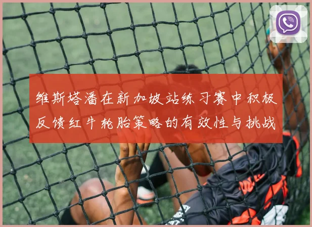 维斯塔潘在新加坡站练习赛中积极反馈红牛轮胎策略的有效性与挑战