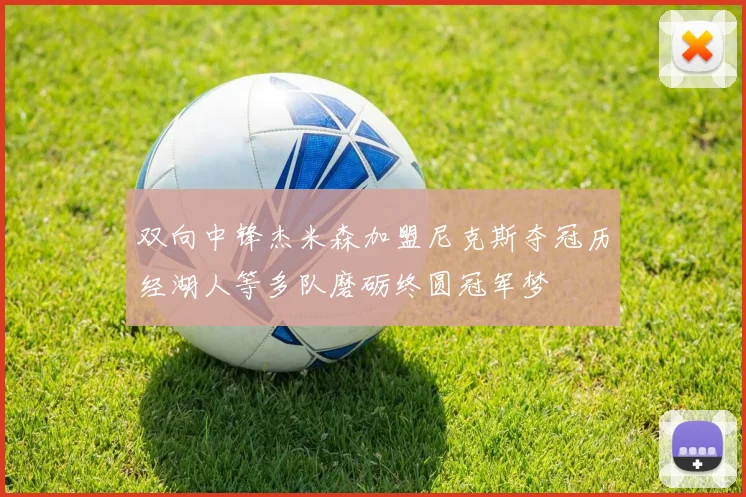 双向中锋杰米森加盟尼克斯夺冠历经湖人等多队磨砺终圆冠军梦